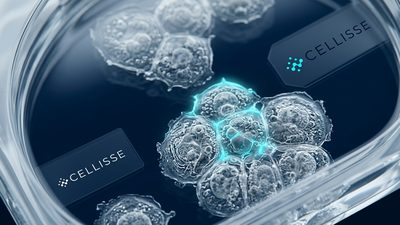 Péptidos que encuentran el tumor sin dañar tejido sano